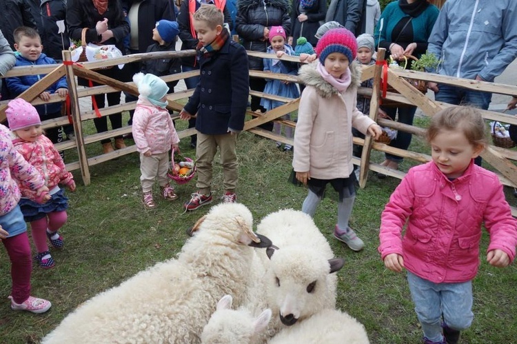 Święcenie pokarmów wspólnie z owieczkami 