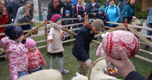 Święcenie pokarmów wspólnie z owieczkami 