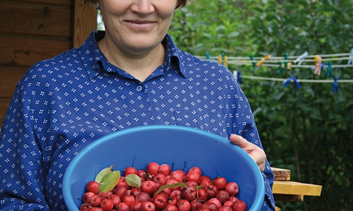 Krótkie historie o miłosierdziu