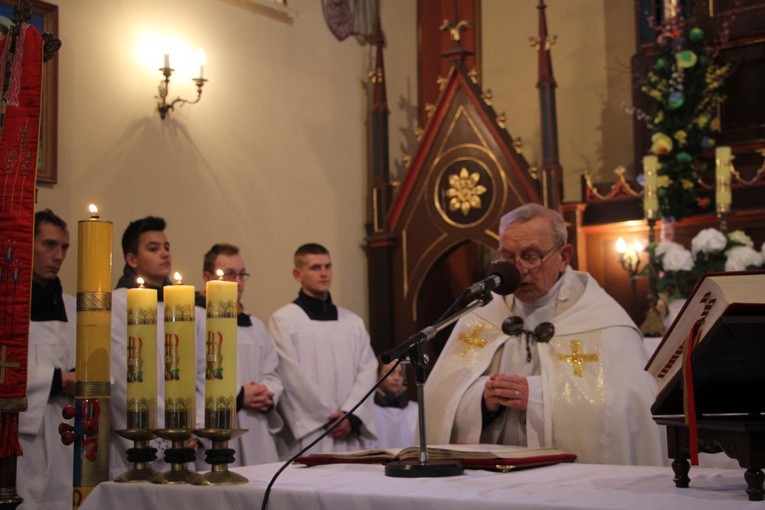 Powitanie ikony MB Częstochowskiej w Strzegocinie