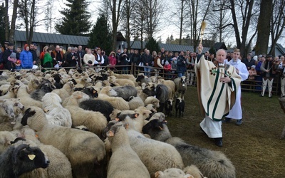 Święto Bacowskie w Ludźmierzu 2017