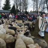 Święto Bacowskie w Ludźmierzu 2017