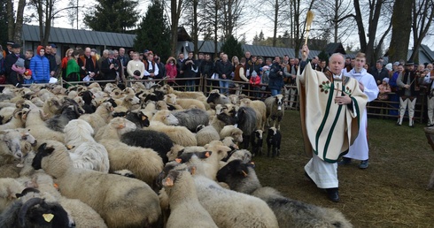 Święto Bacowskie w Ludźmierzu 2017