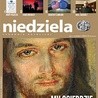 Niedziela 17/2017