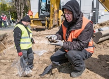 Prof. Krzysztof Szwagrzyk od początku kieruje badaniami. Tu pokazuje znaleziony fragment skórzanego buta.