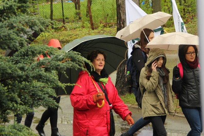 Święto Lasu w Radomiu