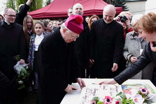 Koronacja obrazu Matki Bożej Dobrej Rady