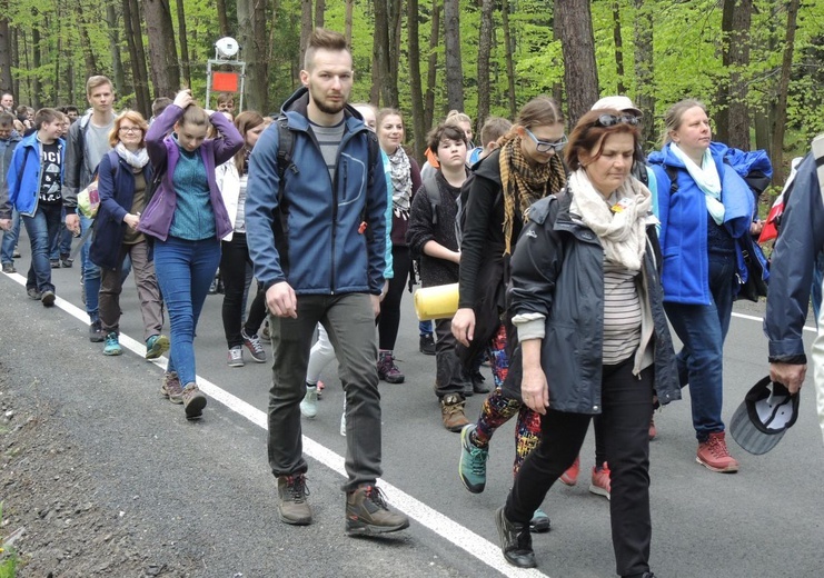 Grupa św. Maksymiliana 2017