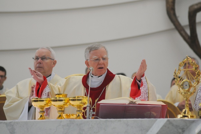 Ogólnopolska pielgrzymka Caritas do Łagiewnik 2017 cz. 2