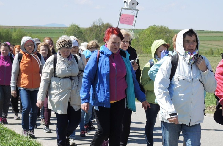 Pielgrzymi na trasie drugiego dnia - 1 maja 2017 r.