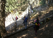 Cóż stoi na przeszkodzie?