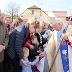 Powitanie ikony MB Częstochowskiej w Krośniewicach