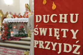 Duch Święty przynosi dary i pozwala owocować świętością życia