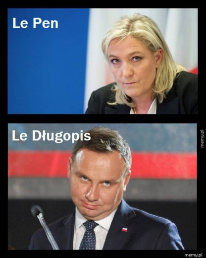 Wybory we Francji w memach