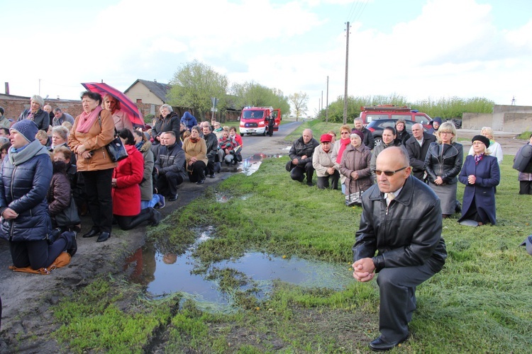 Powitanie ikony MB Częstochowskiej w Dzierzbicach