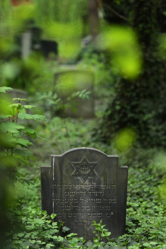 Cmentarz żydowski w Katowicach