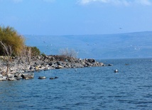 Nad brzegiem Jeziora Galilejskiego