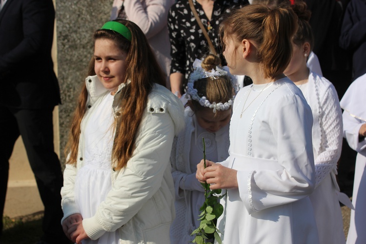 Powitanie ikony MB Częstochowskiej w Mazewie