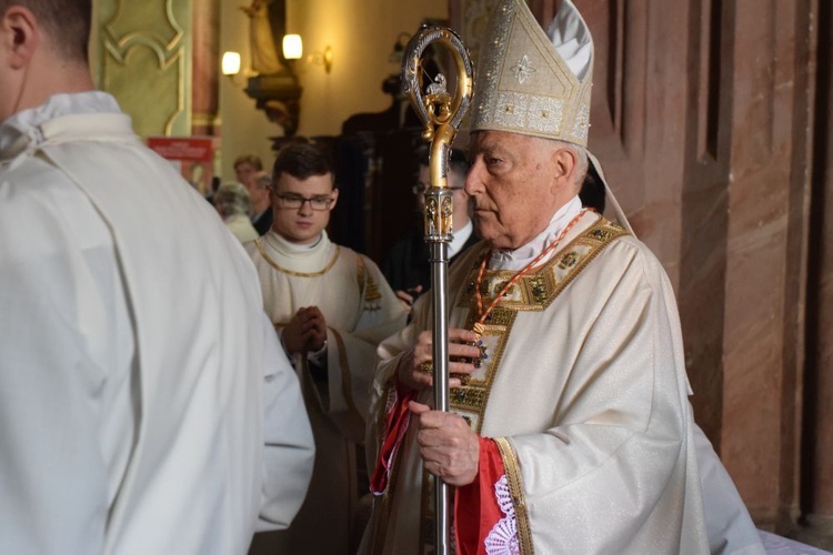 Tuż przed koronacją Świdnickiej Pani w słońcu