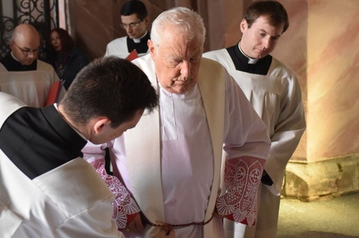 Tuż przed koronacją Świdnickiej Pani w słońcu