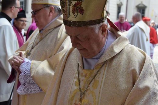 Tuż przed koronacją Świdnickiej Pani w słońcu