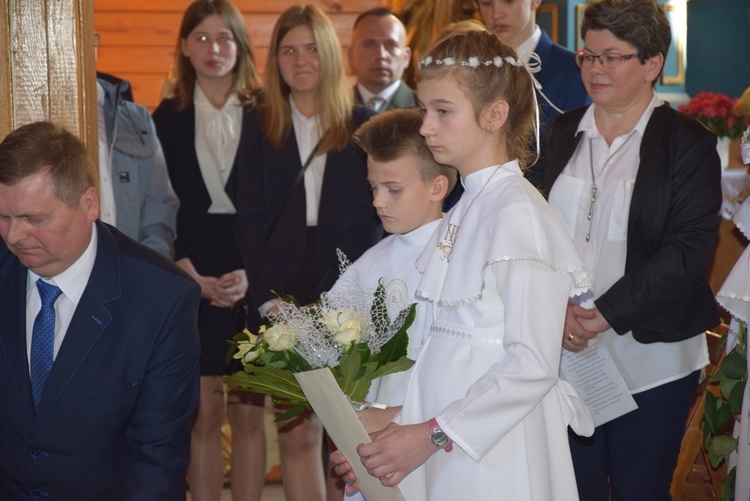 Powitanie ikony MB Częstochowskiej w Topoli Królewskiej