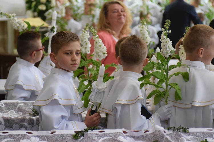 I komunii św. w Strzegomiu udzielił kardynał