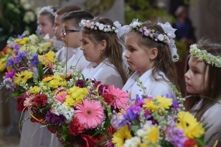 I komunii św. w Strzegomiu udzielił kardynał