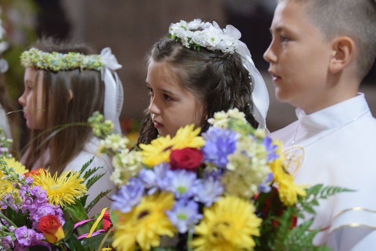 I komunii św. w Strzegomiu udzielił kardynał