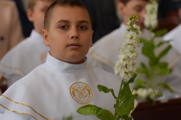 I komunii św. w Strzegomiu udzielił kardynał