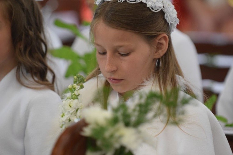 I komunii św. w Strzegomiu udzielił kardynał