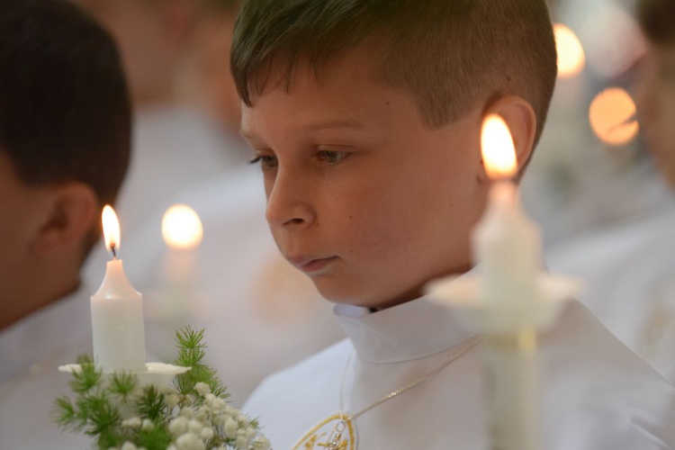 I komunii św. w Strzegomiu udzielił kardynał