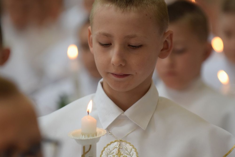 I komunii św. w Strzegomiu udzielił kardynał