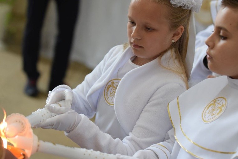 I komunii św. w Strzegomiu udzielił kardynał