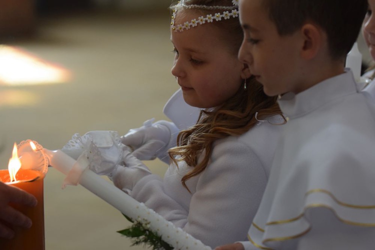 I komunii św. w Strzegomiu udzielił kardynał