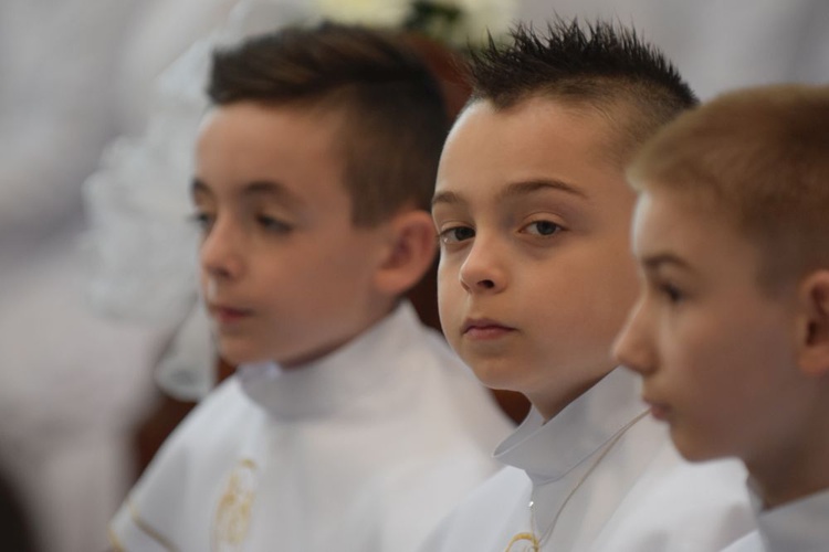 I komunii św. w Strzegomiu udzielił kardynał