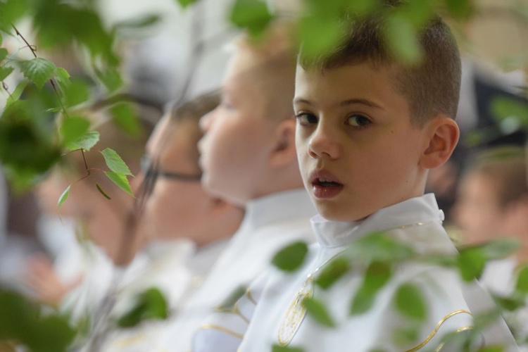 I komunii św. w Strzegomiu udzielił kardynał