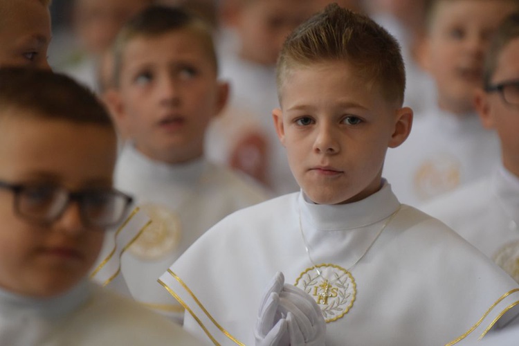 I komunii św. w Strzegomiu udzielił kardynał