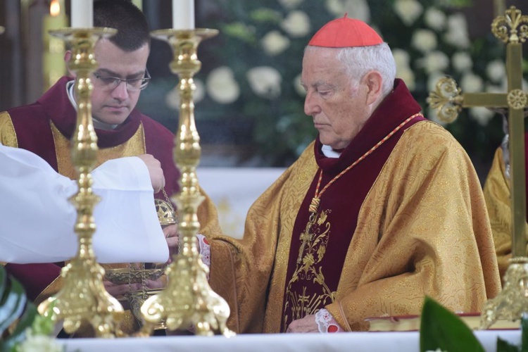 I komunii św. w Strzegomiu udzielił kardynał