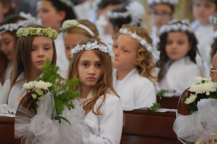 I komunii św. w Strzegomiu udzielił kardynał