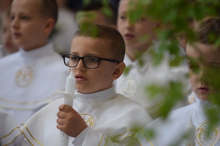 I komunii św. w Strzegomiu udzielił kardynał