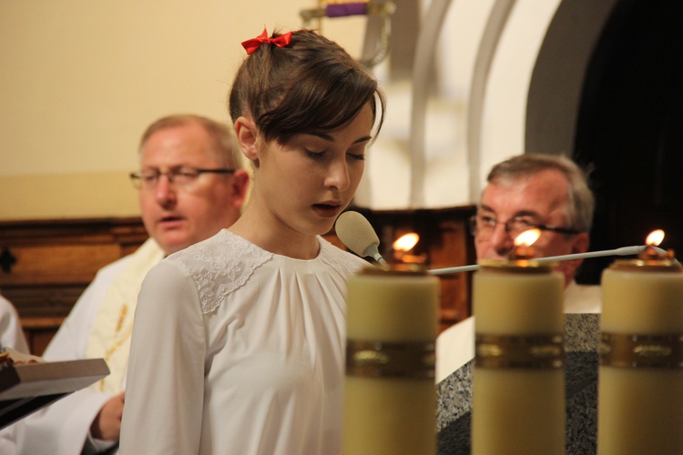 Powitanie ikony MB Częstochowskiej w Siedlcu