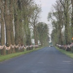 Powitanie ikony MB Częstochowskiej w Siedlcu