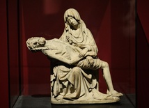 ​ MARIA MATER MISERICORDIAE