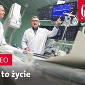 Zwiastun najnowszego "Gościa"