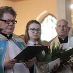 Powitanie ikony MB Częstochowskiej w Leźnicy Małej