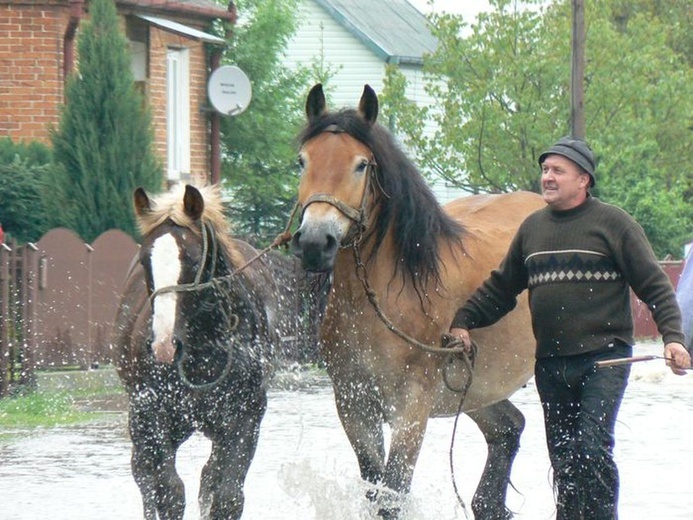 Powódź w 2010 roku