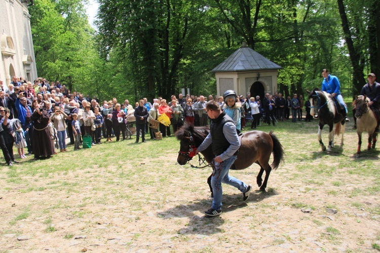 Pielgrzymka miłośników koni