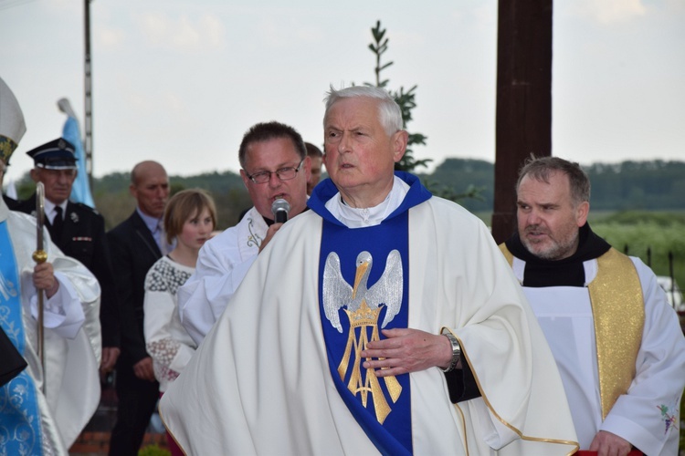 Powitanie ikony MB Częstochowskiej w Orłowie