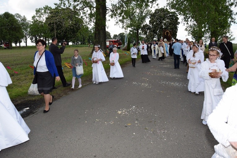 Powitanie ikony MB Częstochowskiej w Orłowie